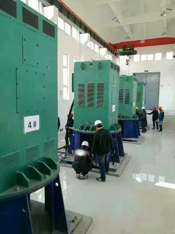 Y8006-6某污水处理厂使用我厂的立式高压电机安装现场生产厂家