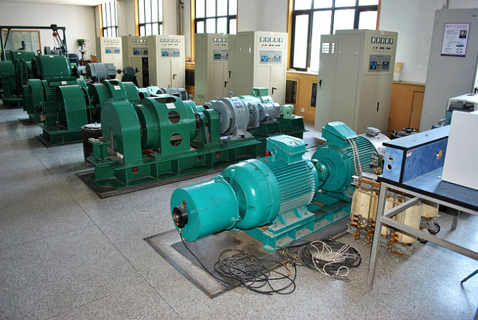 Y8006-6某热电厂使用我厂的YKK高压电机提供动力