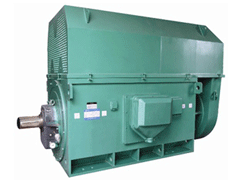 Y8006-6Y系列6KV高压电机
